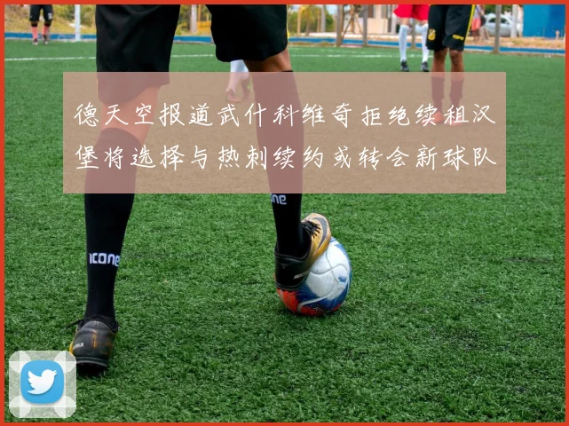 德天空报道武什科维奇拒绝续租汉堡将选择与热刺续约或转会新球队
