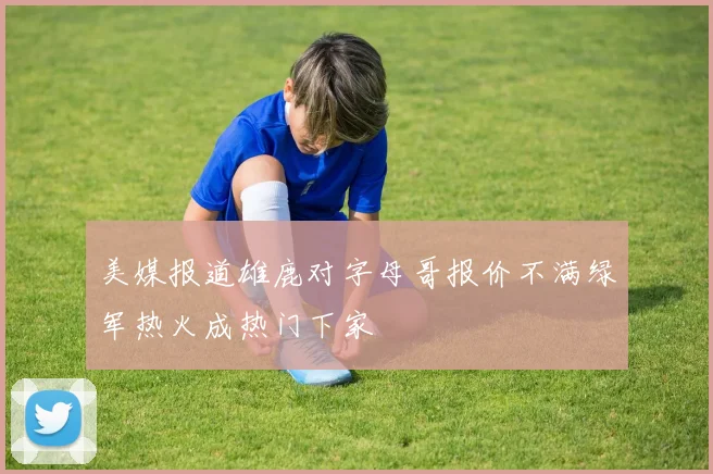 美媒报道雄鹿对字母哥报价不满绿军热火成热门下家
